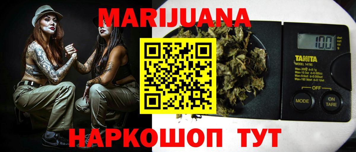 Конопля планчик Узловая